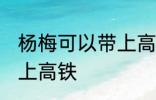 杨梅可以带上高铁吗 杨梅可不可以带上高铁