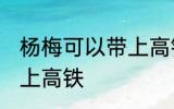 杨梅可以带上高铁吗 杨梅可不可以带上高铁
