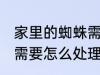 家里的蜘蛛需要赶走吗 家中有蜘蛛时需要怎么处理最好呢