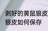剥好的黄鼠狼皮怎么保存 剥好的黄鼠狼皮如何保存