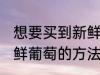 想要买到新鲜的葡萄可以挑选 选购新鲜葡萄的方法