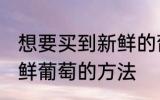 想要买到新鲜的葡萄可以挑选 选购新鲜葡萄的方法