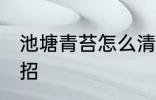 池塘青苔怎么清除 鱼池青苔去除小妙招