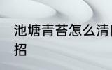 池塘青苔怎么清除 鱼池青苔去除小妙招
